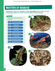 Adaptations: p. 250-253 Thumbnail